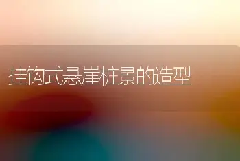 挂钩式悬崖桩景的造型