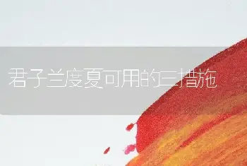 君子兰度夏可用的三措施