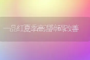 一品红夏季高温障碍改善