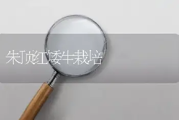 如何选择枣树园地点？