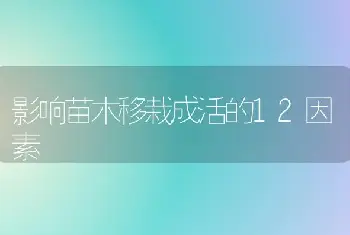 影响苗木移栽成活的12因素