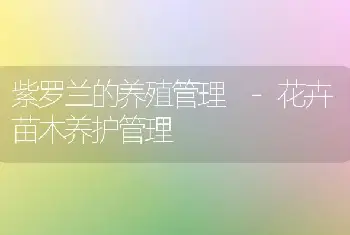 紫罗兰的养殖管理 -花卉苗木养护管理