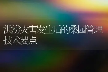 洪涝灾害发生后的桑园管理技术要点