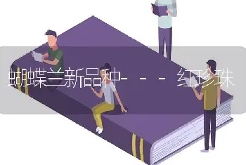 蝴蝶兰新品种---红珍珠