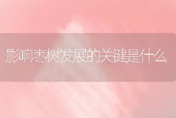 影响枣树发展的关键是什么