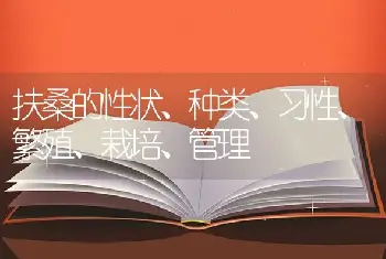 扶桑的性状、种类、习性、繁殖、栽培、管理