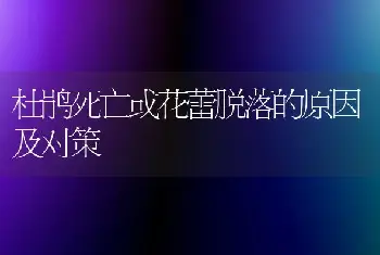 杜鹃死亡或花蕾脱落的原因及对策