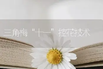 三角梅“十一”控花技术