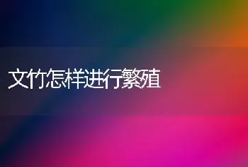 苏铁育苗多采用播种法