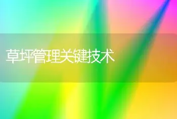 紫丁香的养殖方法|紫丁香图片|紫丁香的种植技术|紫丁香怎么养