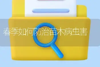 郁金香的养殖方法-郁金香的栽培技术-郁金香怎么养