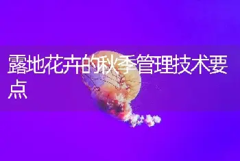 露地花卉的秋季管理技术要点