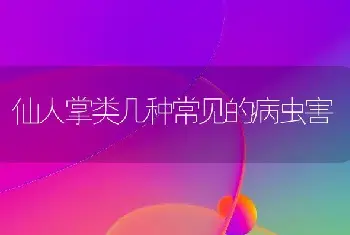 为什么樟树全身是宝？