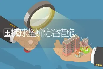 国槐球坚蚧防治措施