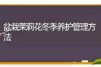 盆栽茉莉花冬季养护管理方法