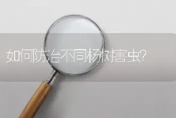 如何防治不同杨树害虫？