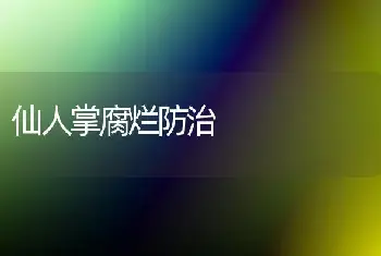 仙人掌腐烂防治