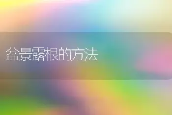 盆景露根的方法