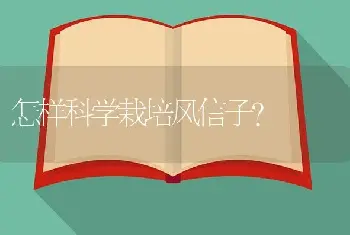 怎样科学栽培风信子?