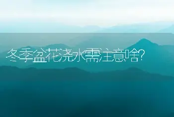 冬季盆花浇水需注意啥？