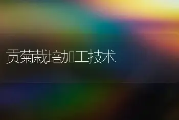 花卉秋上盆的四项措施