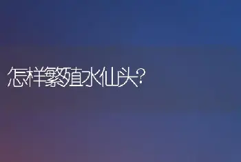 怎样繁殖水仙头?