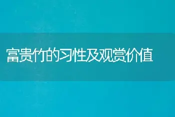 富贵竹的习性及观赏价值