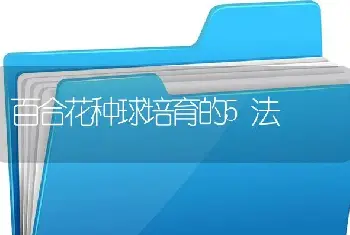 百合花种球培育的5法