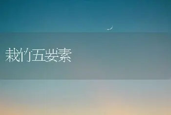 栽竹五要素