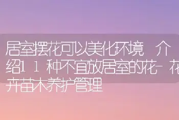 居室摆花可以美化环境 介绍11种不宜放居室的花-花卉苗木养护管理