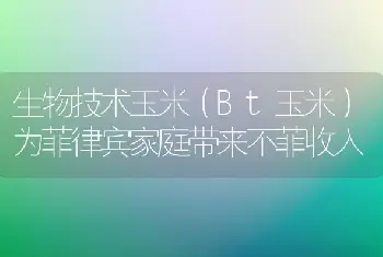 生物技术玉米（Bt玉米）为菲律宾家庭带来不菲收入