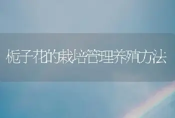 栀子花的栽培管理养殖方法