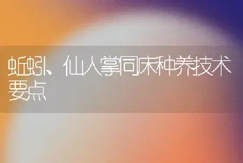 蚯蚓、仙人掌同床种养技术要点