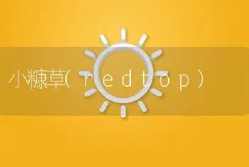 小糠草(redtop)