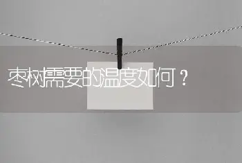 枣树需要的温度如何？