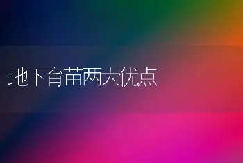 地下育苗两大优点