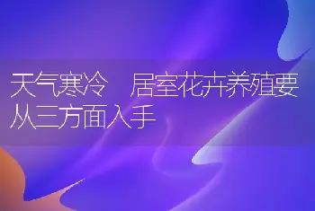 天气寒冷 居室花卉养殖要从三方面入手