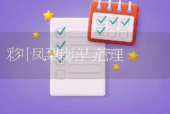 彩叶凤梨栽培与管理