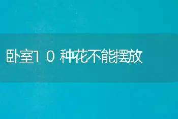 卧室10种花不能摆放