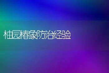 柚园椿象防治经验