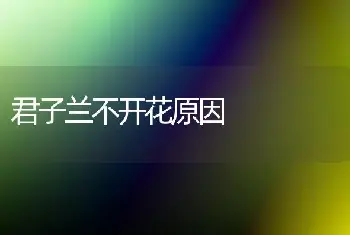 盆花修剪的方法