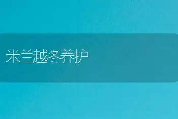 米兰越冬养护