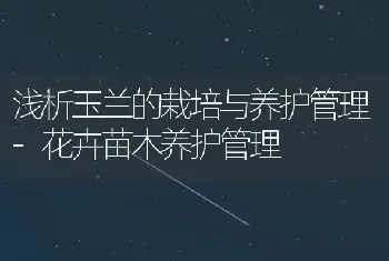 浅析玉兰的栽培与养护管理-花卉苗木养护管理