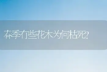 春季有些花木为何枯死？