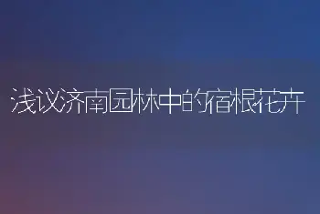 浅议济南园林中的宿根花卉