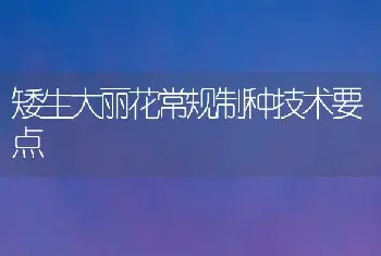 矮生大丽花常规制种技术要点