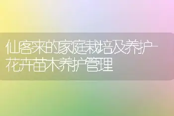 仙客来的家庭栽培及养护-花卉苗木养护管理