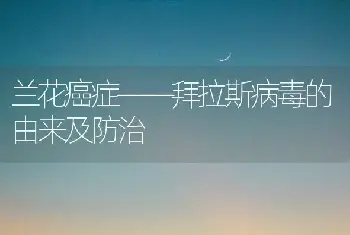 文竹的栽培管理