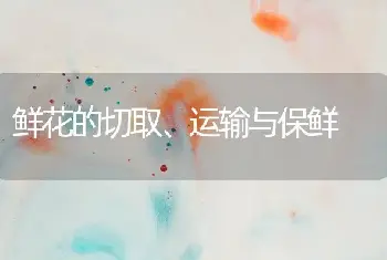 鲜花的切取、运输与保鲜