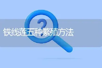 铁线莲五种繁殖方法